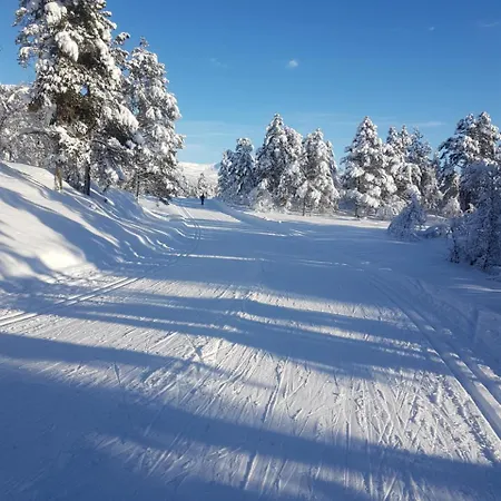 Voss Interlake - * Skulestadmo