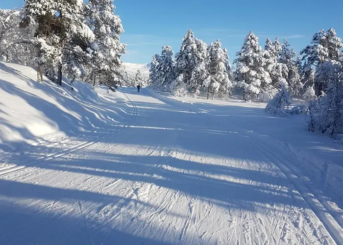 Voss Interlake - * Skulestadmo