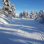 Voss Interlake - * Skulestadmo