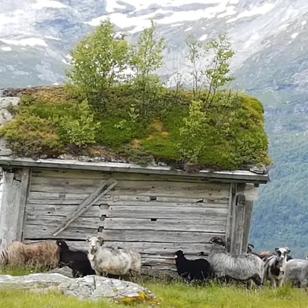 Villaer Voss Interlake -