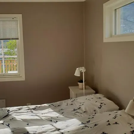 Villaer Voss Interlake -